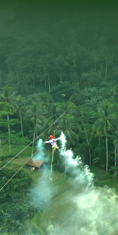 Flying Fox.